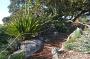 sydney-sep-2013 021